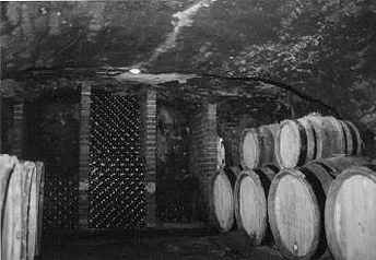 In Chapui's Cellar