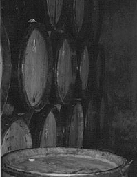 Barrels in the Cellar of Rousseau