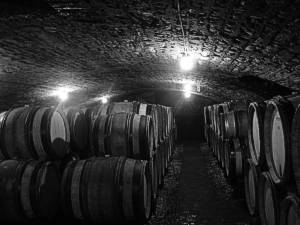 Montille  - Barrel cellar