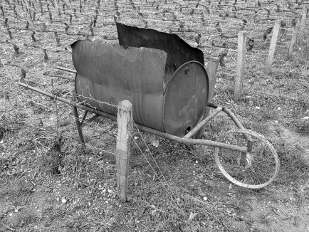 Wheel barrow to Burn the Cut off Wood from the Vines in